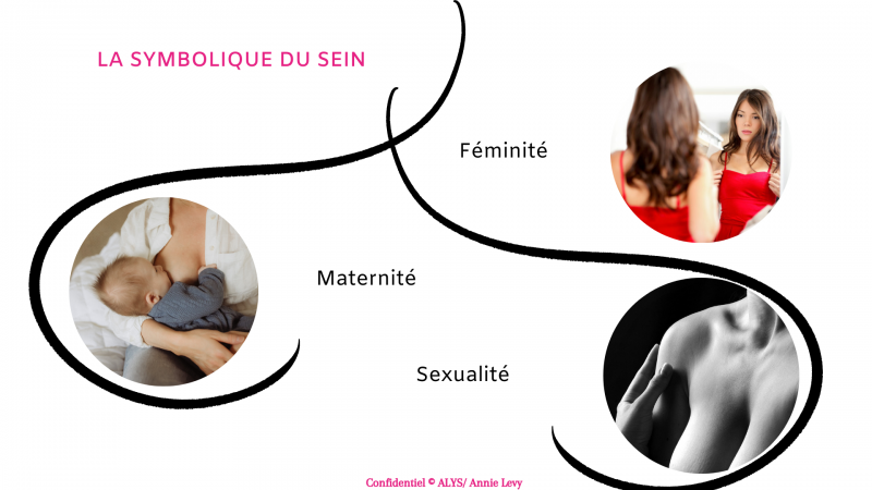Symbolique du sein