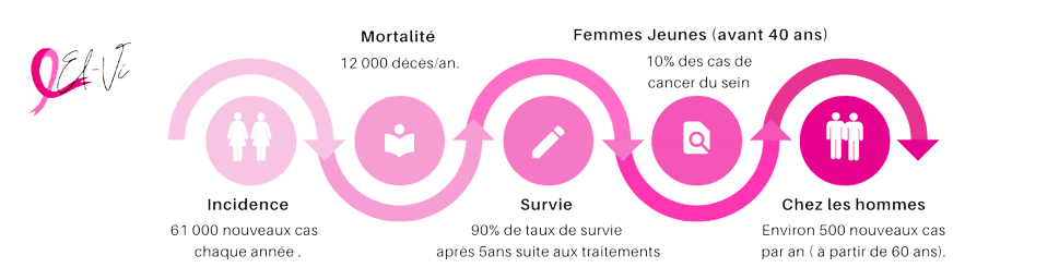 Cancer du sein en chiffre